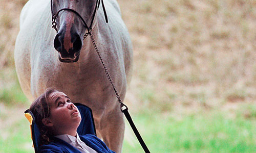 gifthorse.jpg