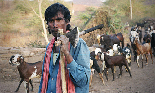goatherder.jpg