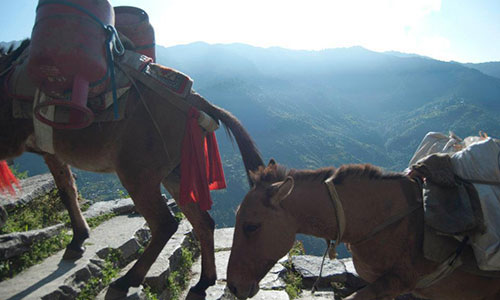 nepal.jpg