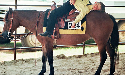 sleephorse2.jpg
